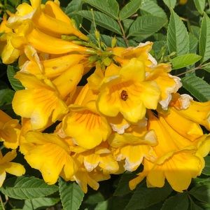 Meet your Posher, Kaitlyn